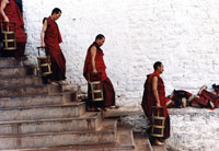 tibetan people, tibetan local people, tibetan history, tibetan culture, tsedang tour, gyantse tour 