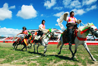 Horse racing, Shoten Festival